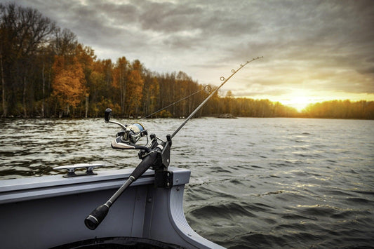 Gear You Required To Start Fly Fishing